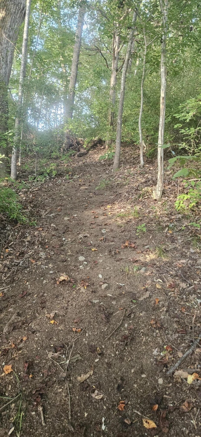 Lot 9 Longview Estates DR - Photo 48