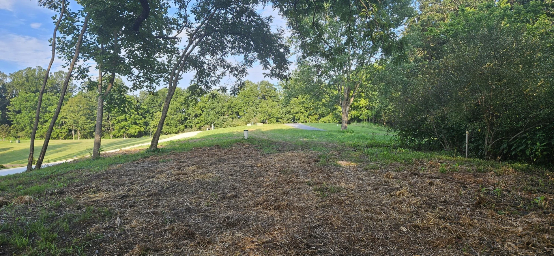 Lot 9 Longview Estates DR - Photo 5