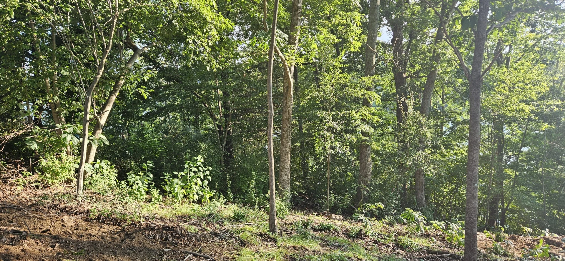 Lot 9 Longview Estates DR - Photo 8