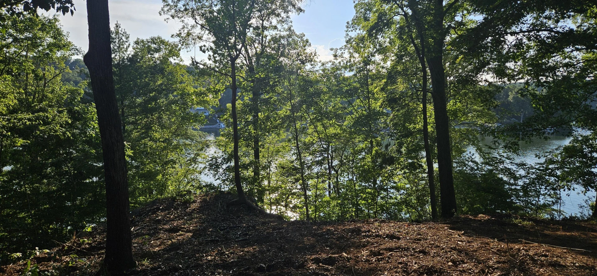 Lot 9 Longview Estates DR - Photo 9