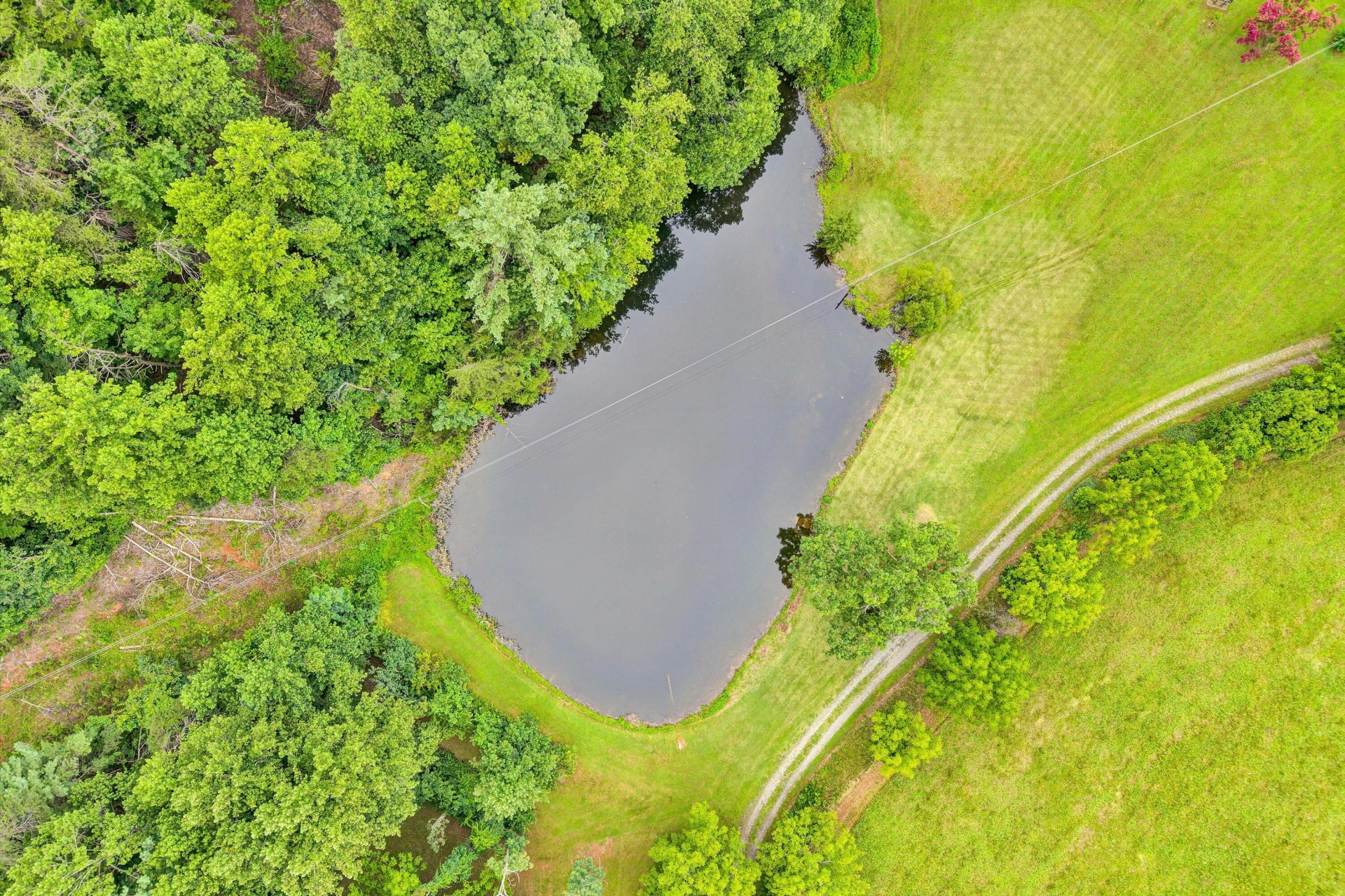 2506 Five Mile Mountain RD - Photo 34