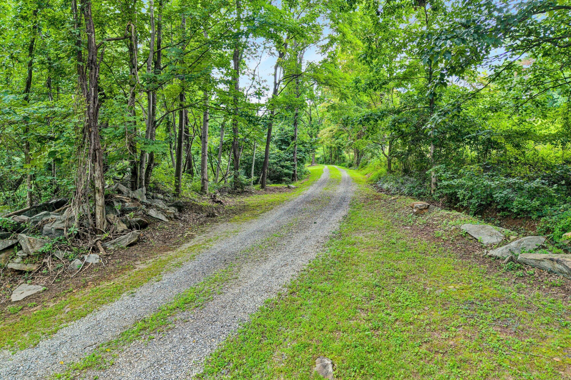 2506 Five Mile Mountain RD - Photo 52