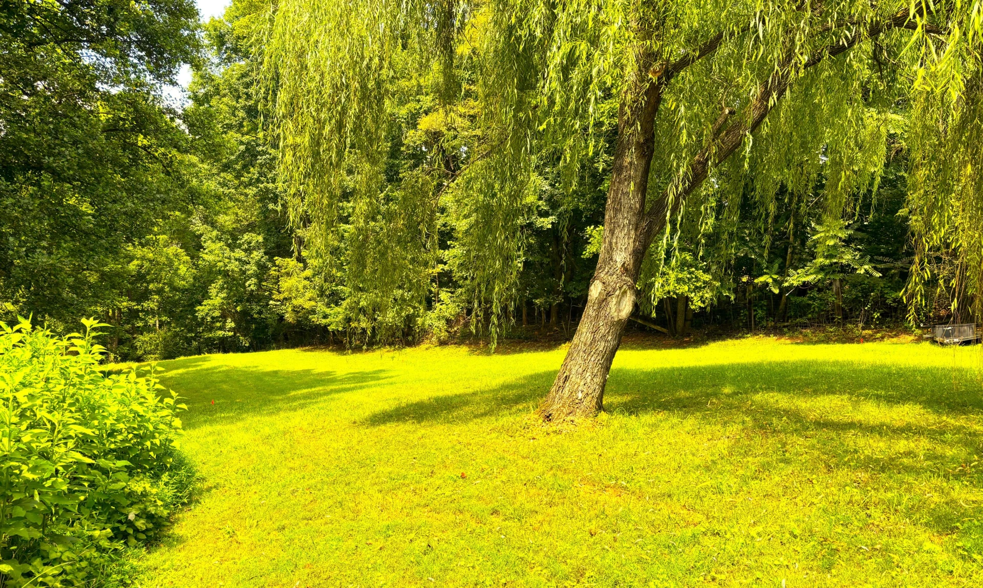 1235 Rock Spring RD - Photo 45
