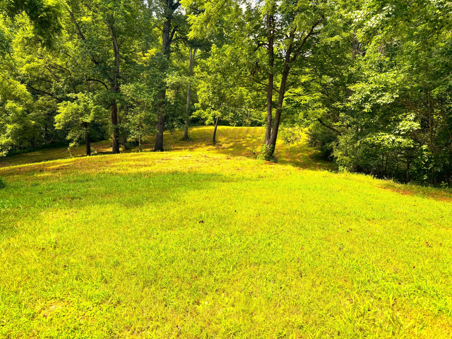 1235 Rock Spring RD - Photo 51