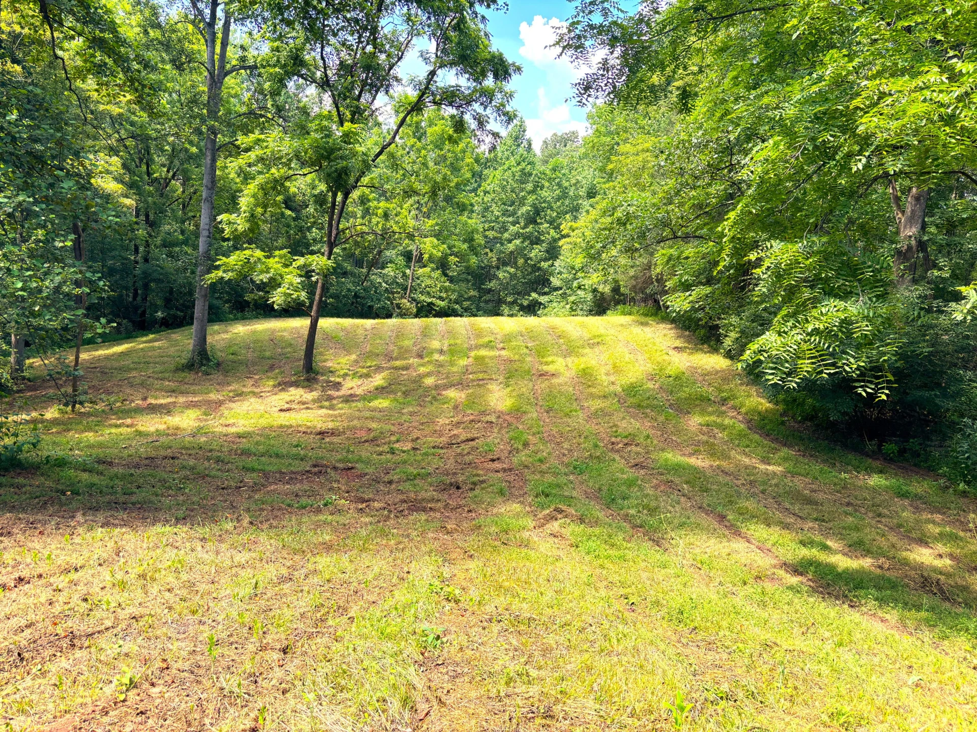 1235 Rock Spring RD - Photo 52