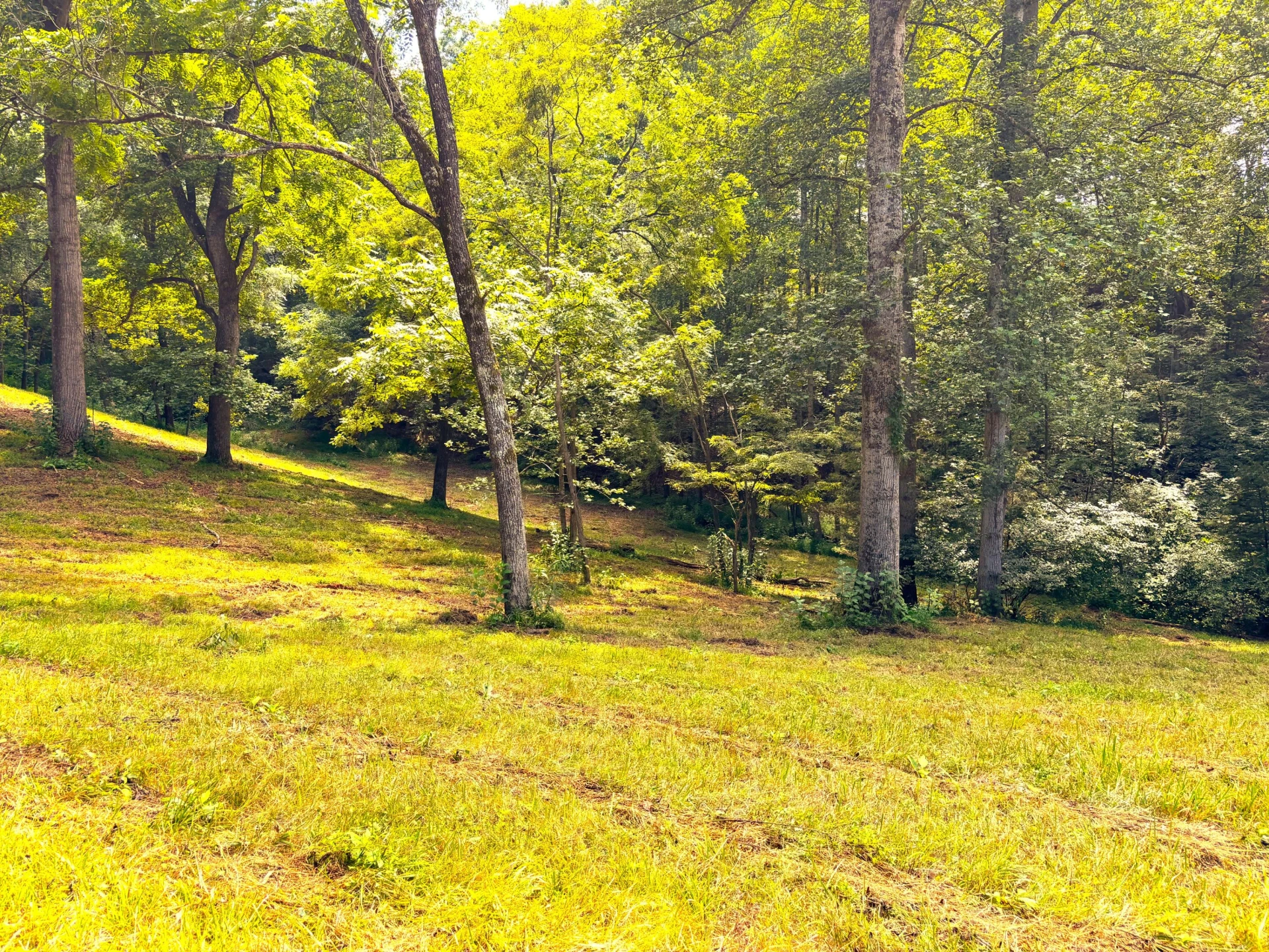 1235 Rock Spring RD - Photo 55