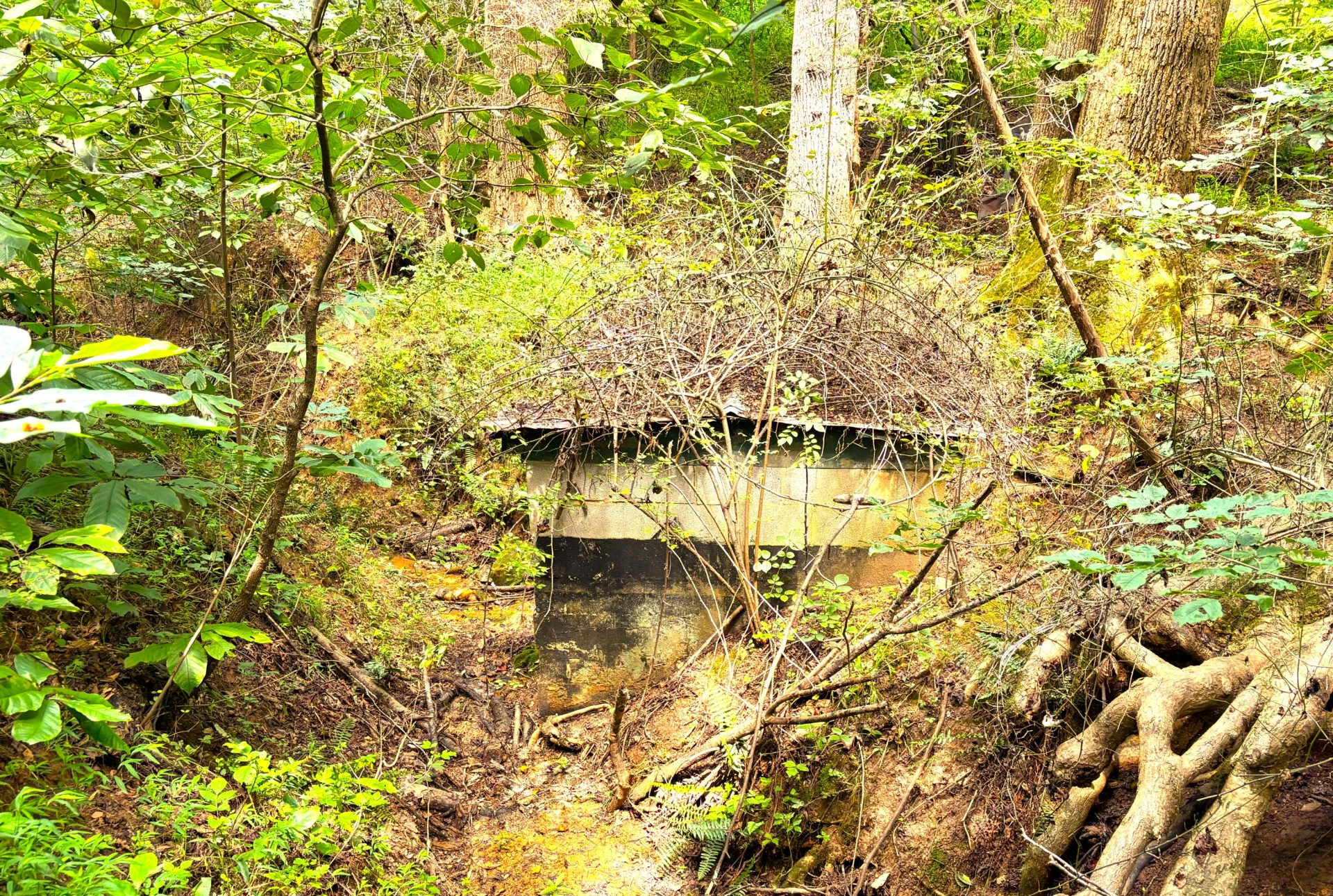 1235 Rock Spring RD - Photo 56
