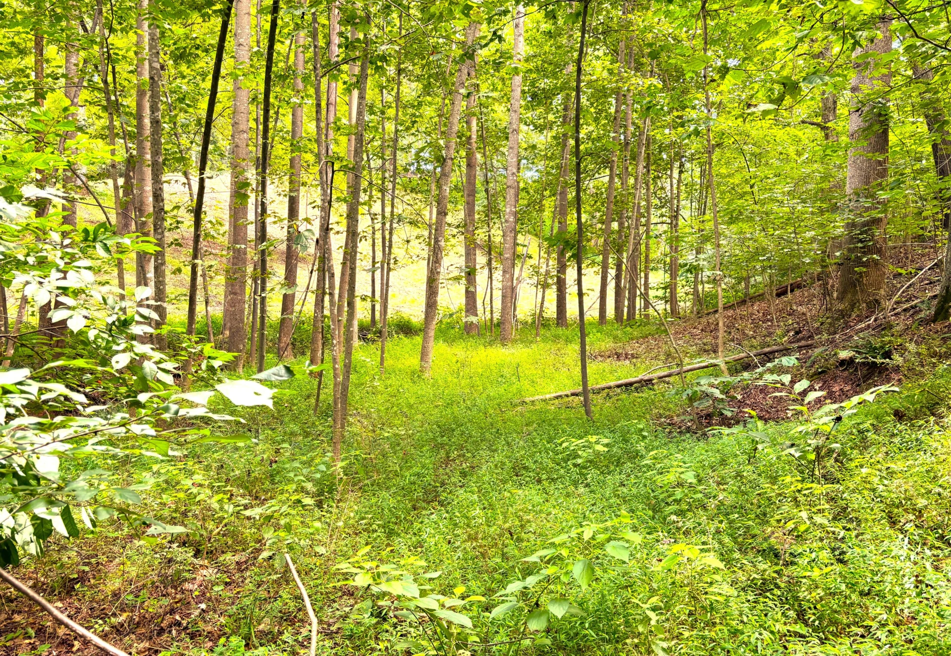 1235 Rock Spring RD - Photo 57