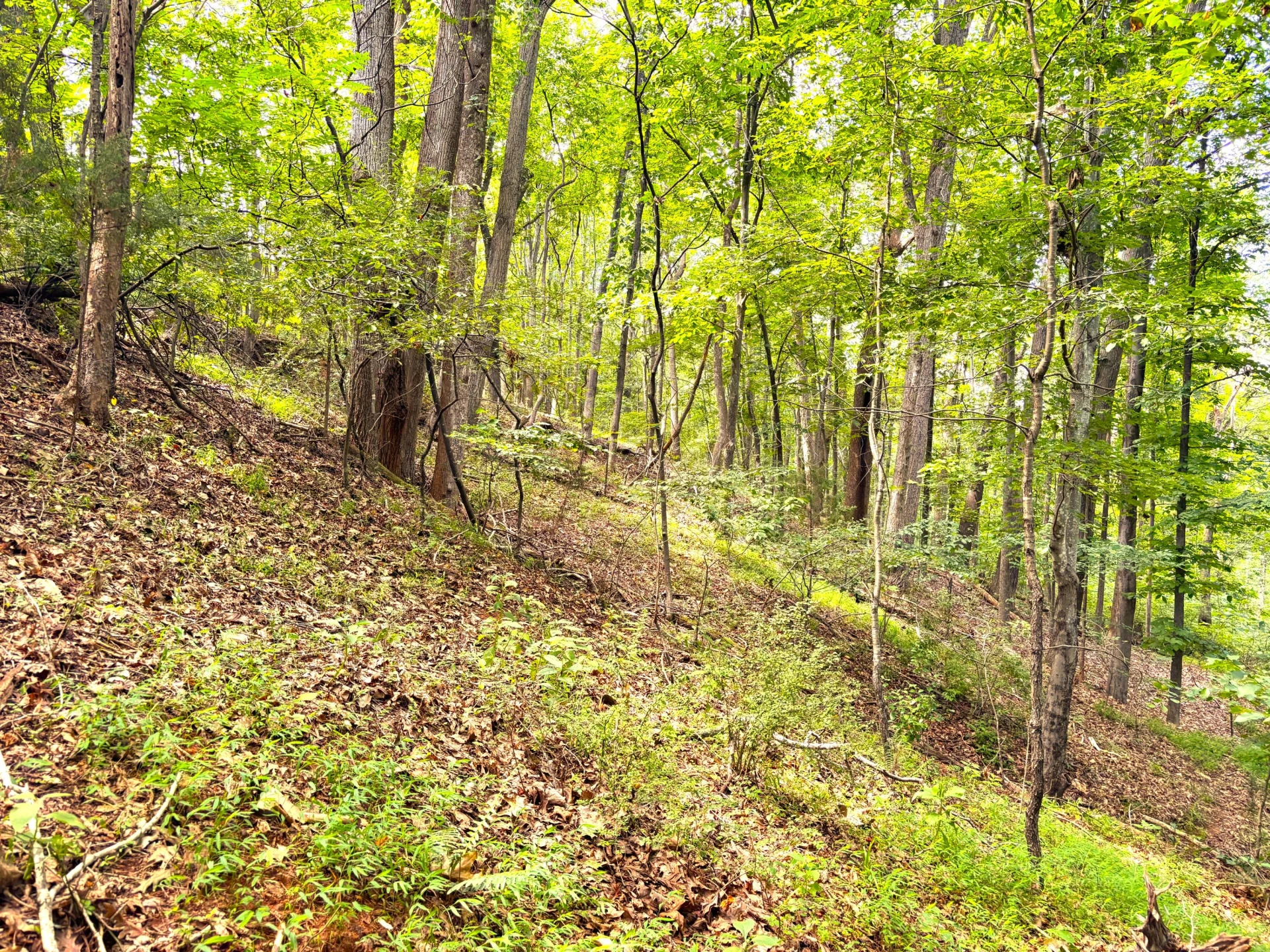 1235 Rock Spring RD - Photo 58