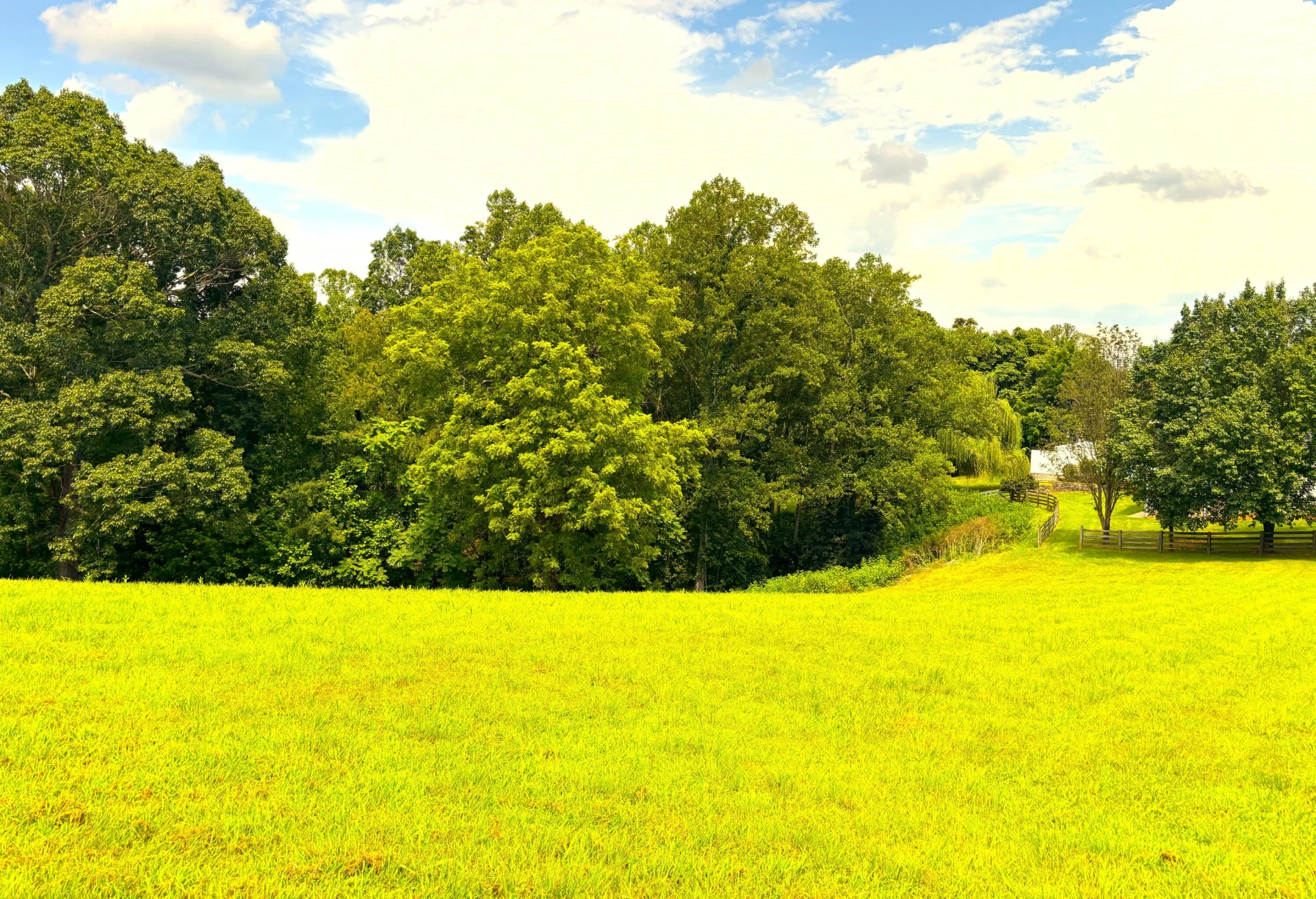 1235 Rock Spring RD - Photo 62