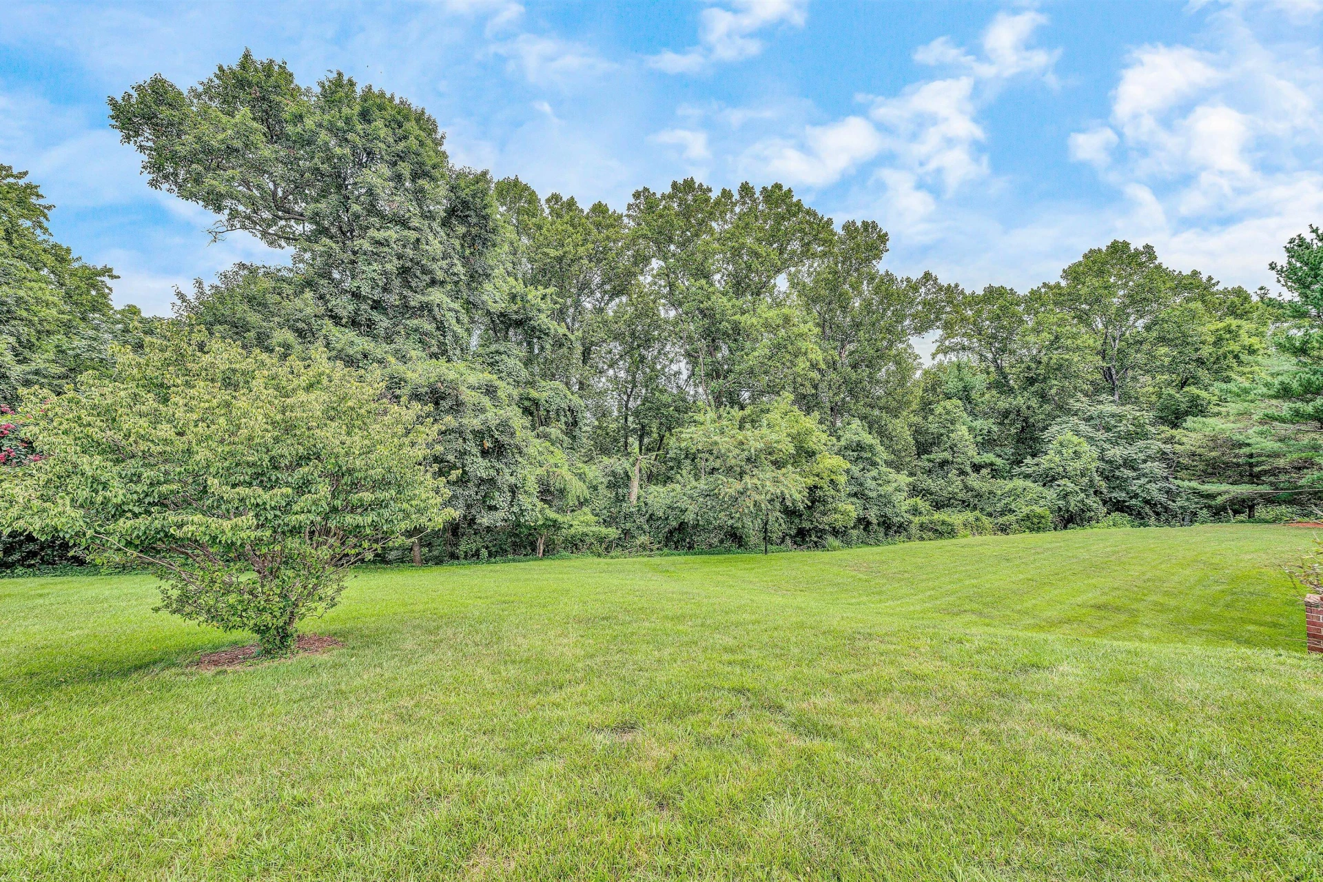 7045 Highfields Farm TRL - Photo 47