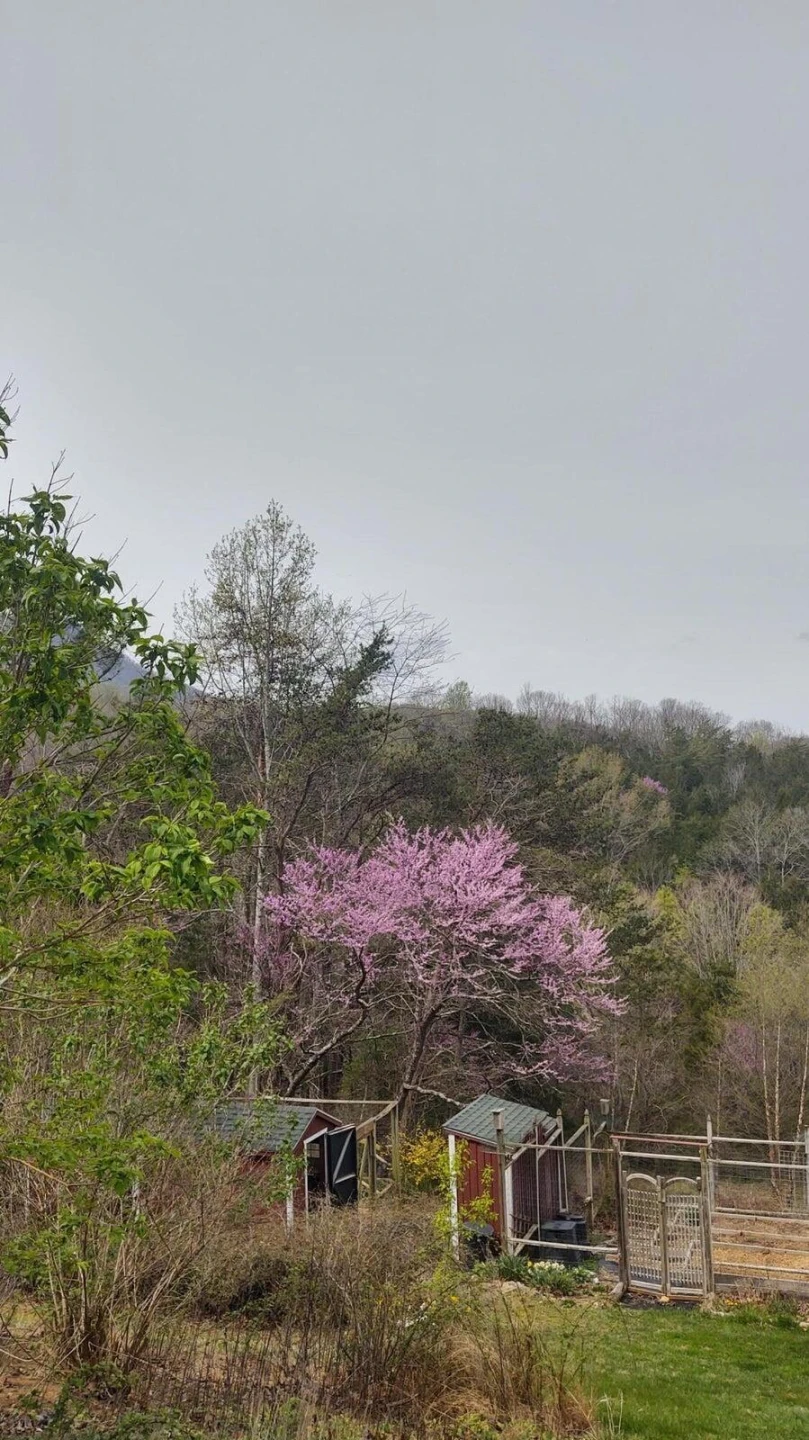 825 Still House DR - Photo 68