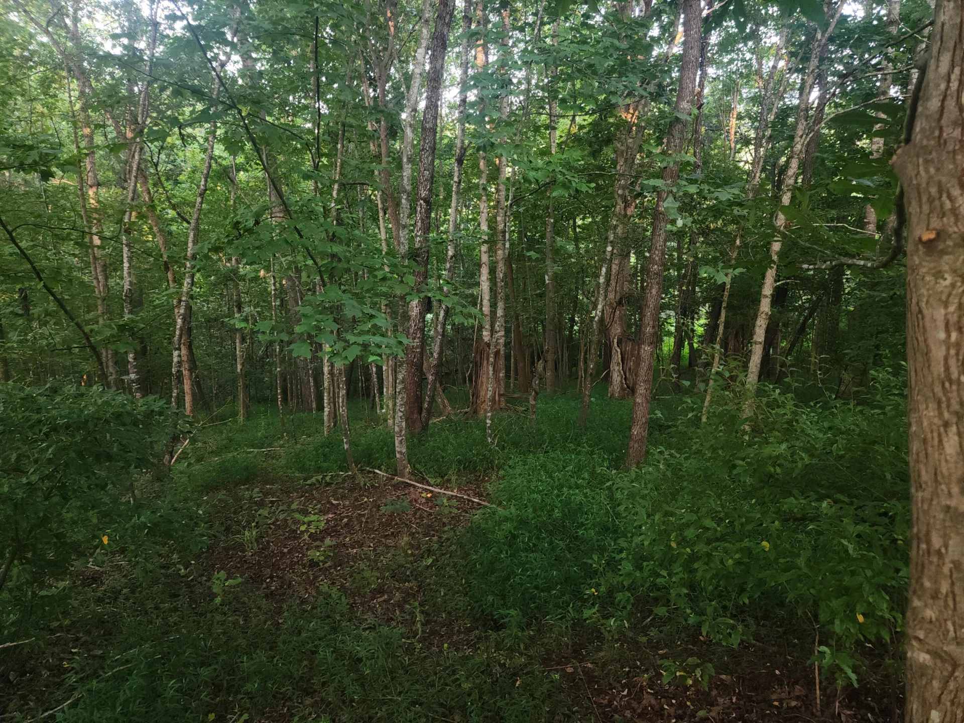 0 Twin Lake DR - Photo 2
