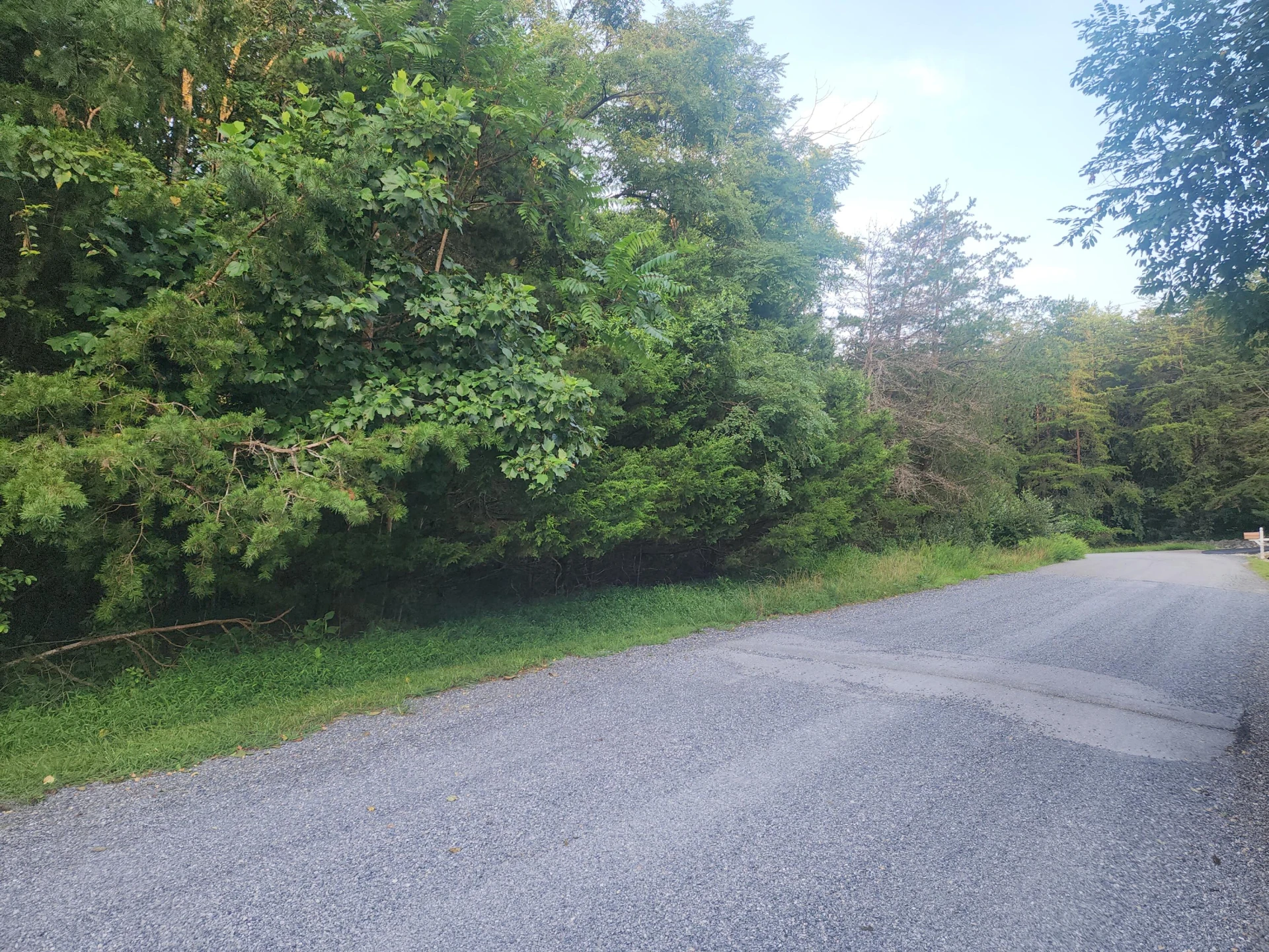 0 Twin Lake DR - Photo 3