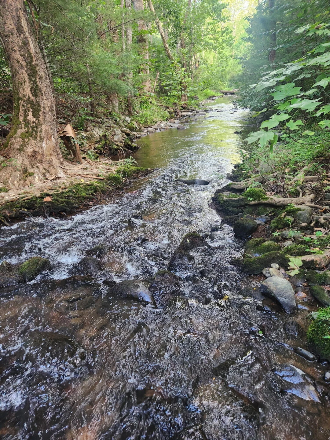 00 Meadors Mill RD - Photo 2