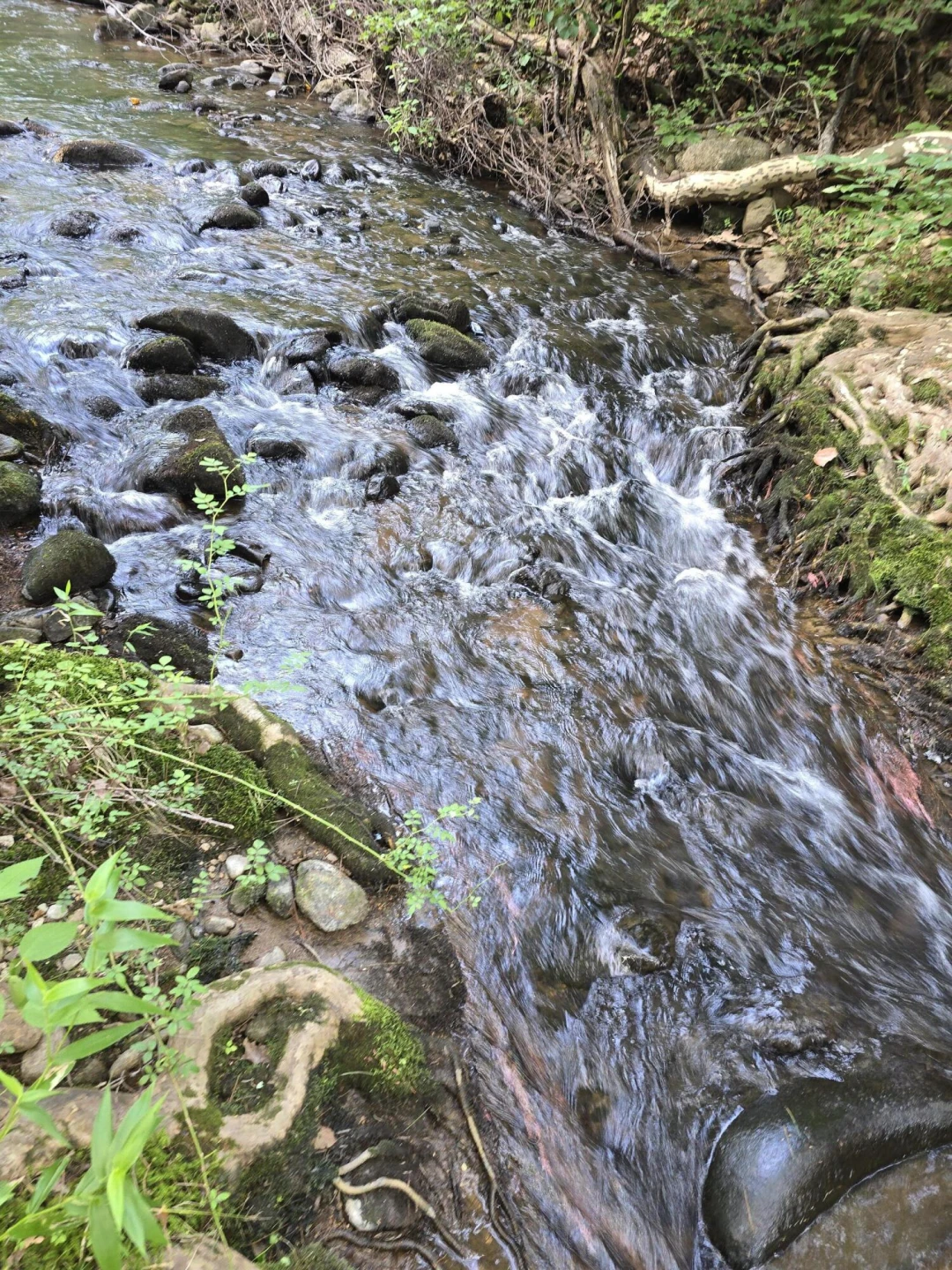00 Meadors Mill RD - Photo 3