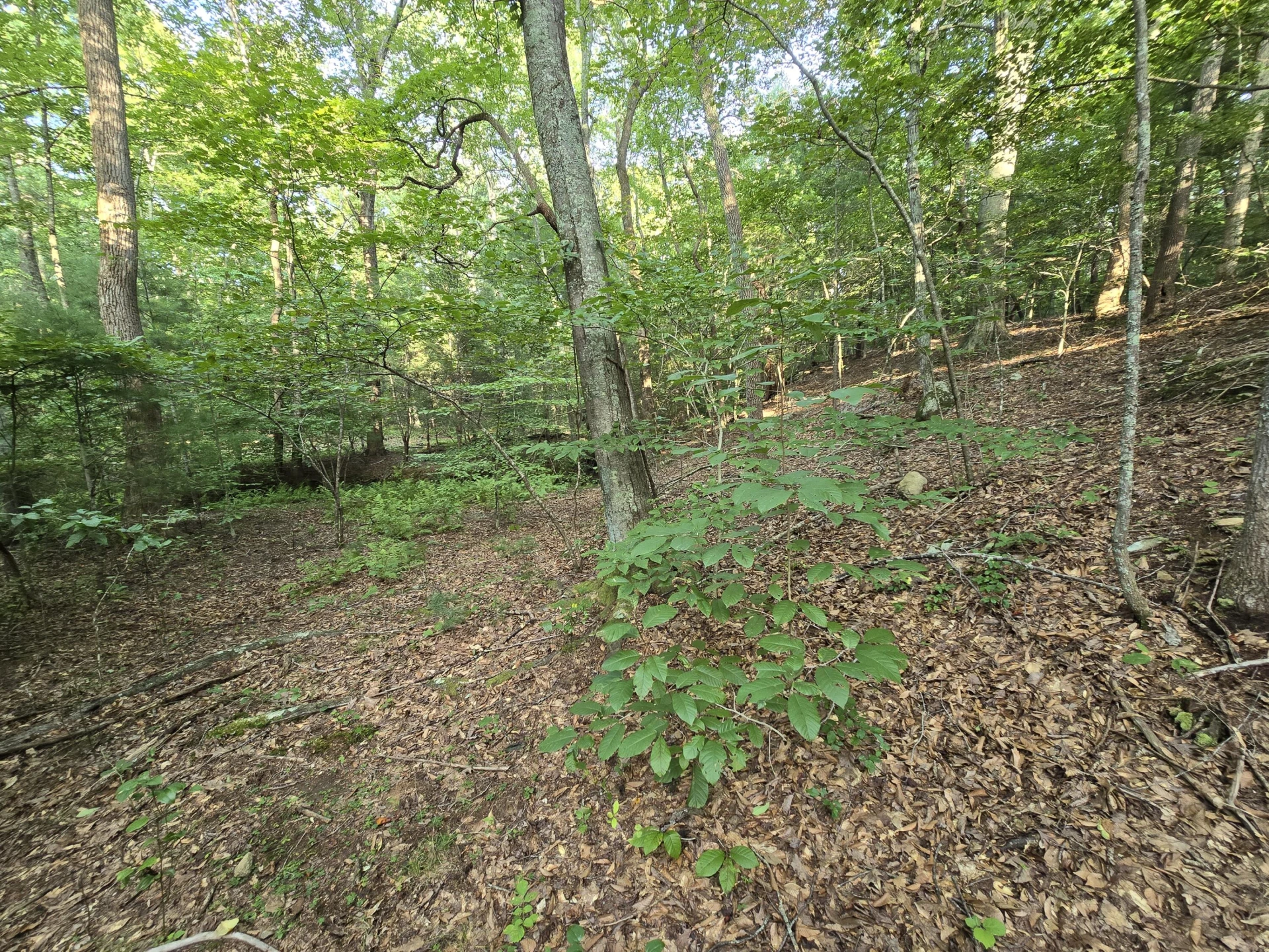 00 Meadors Mill RD - Photo 4