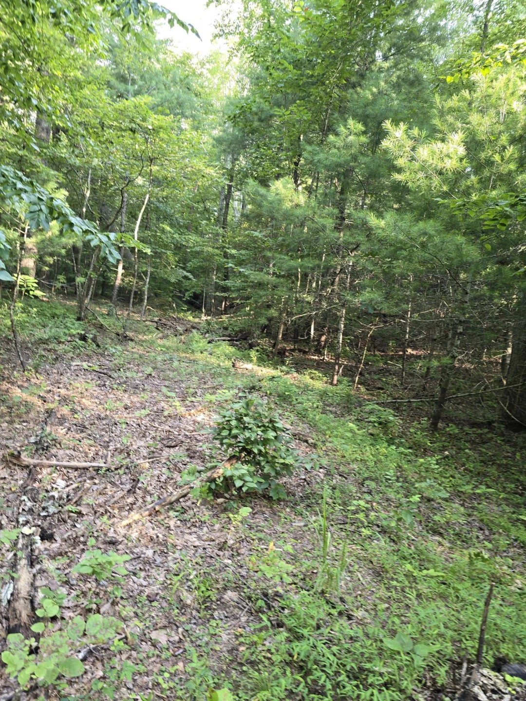 00 Meadors Mill RD - Photo 5