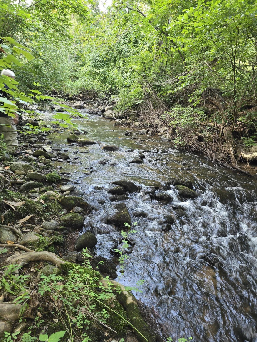 00 Meadors Mill RD - Photo 6