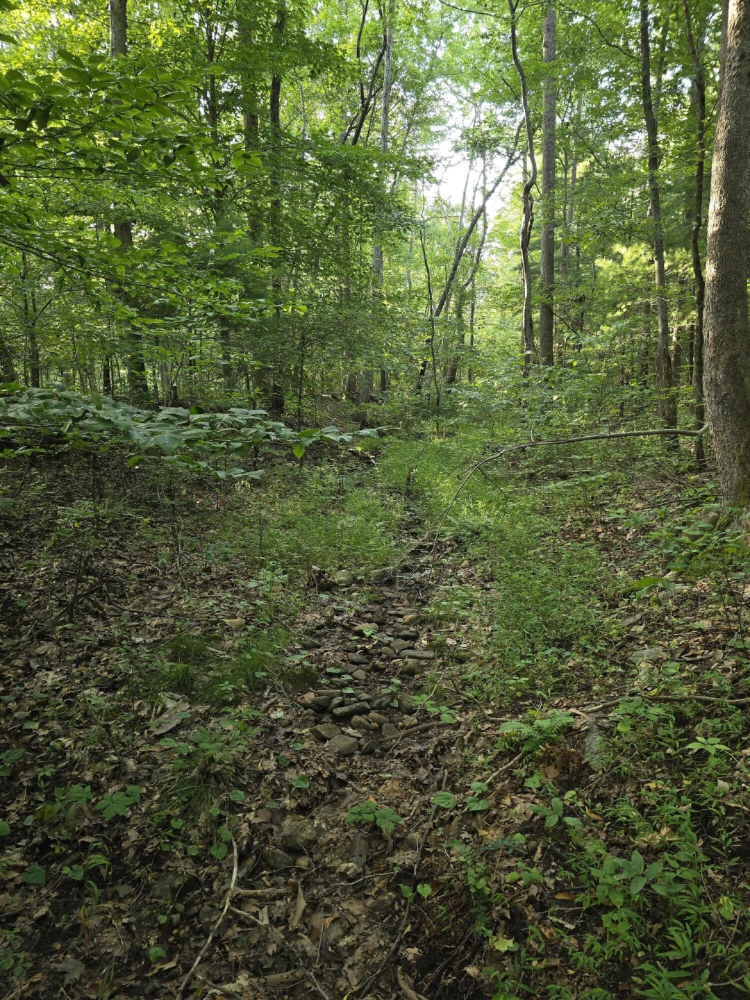 00 Meadors Mill RD - Photo 7