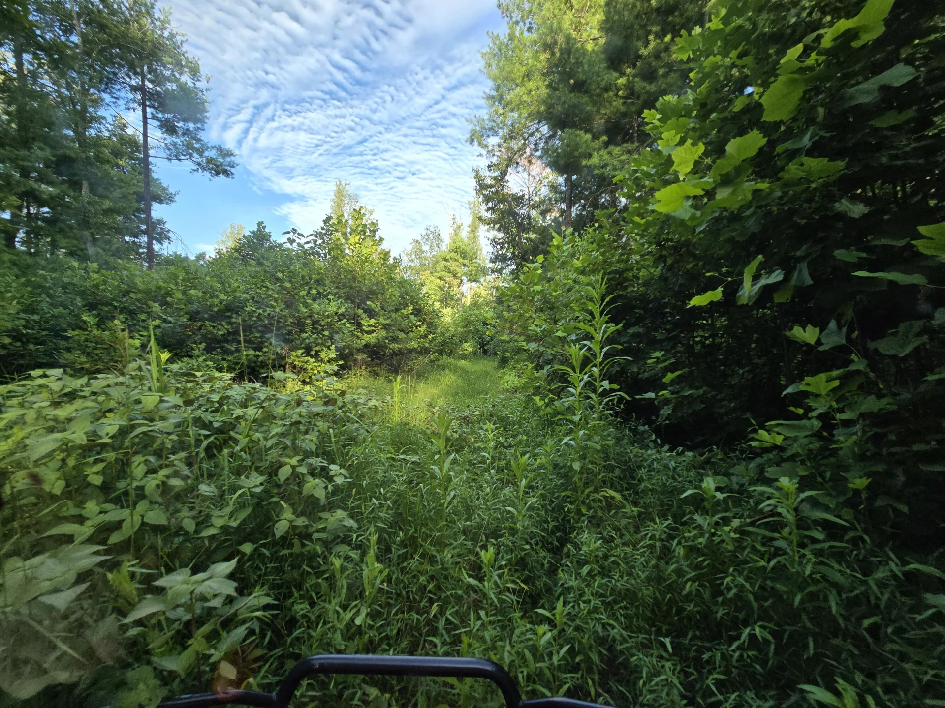 00 Meadors Mill RD - Photo 8