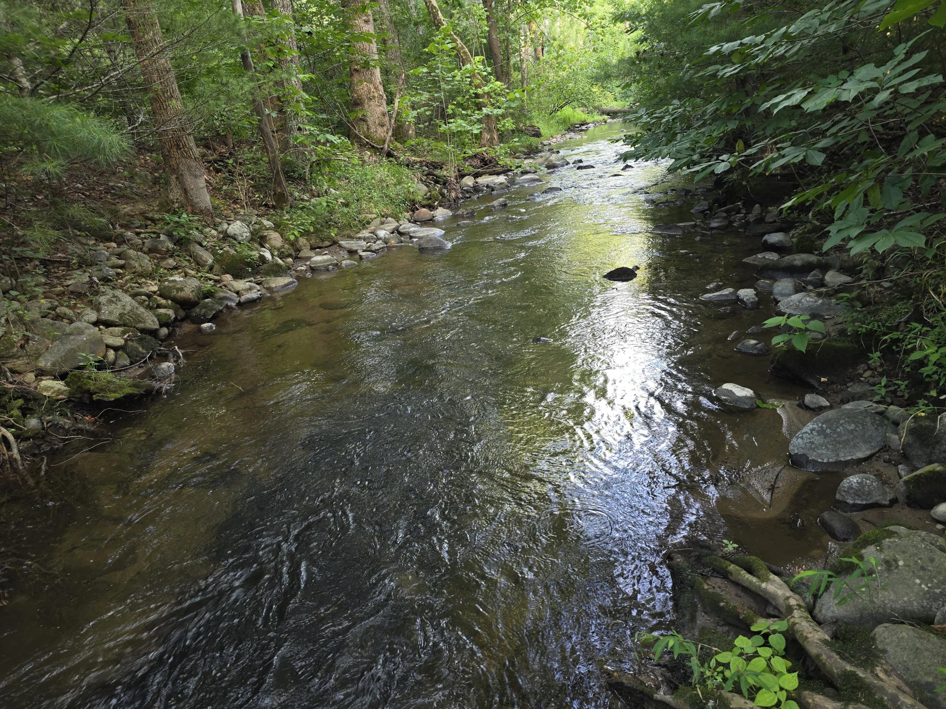 00 Meadors Mill RD - Photo 9