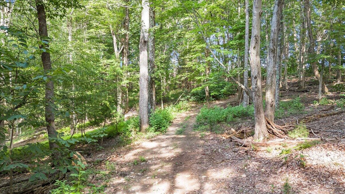 737 Camellia PL - Photo 96