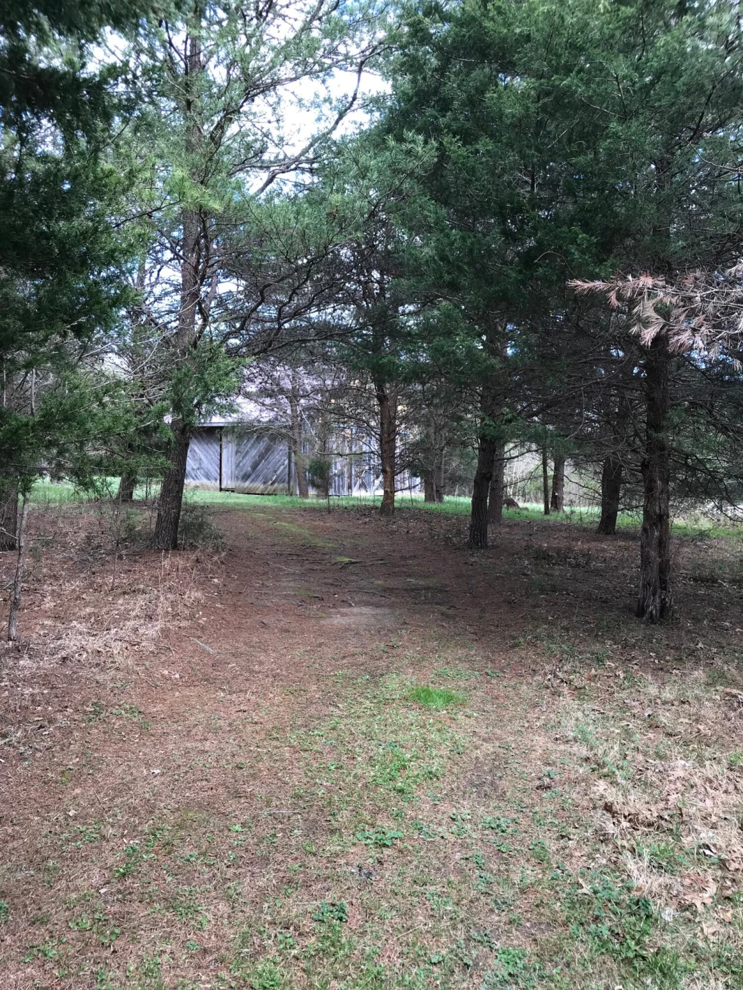 1213 Toms View DR - Photo 85