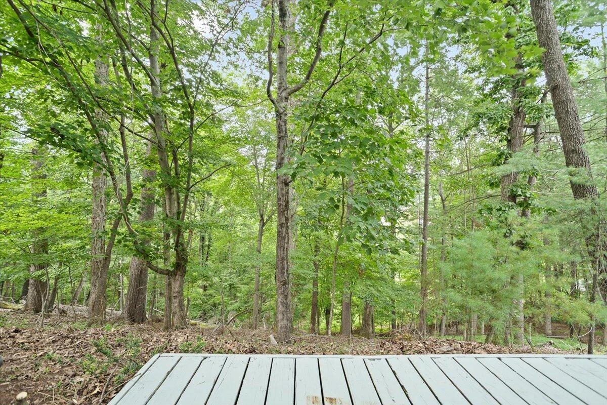 4131 Snowbird CIR - Photo 36