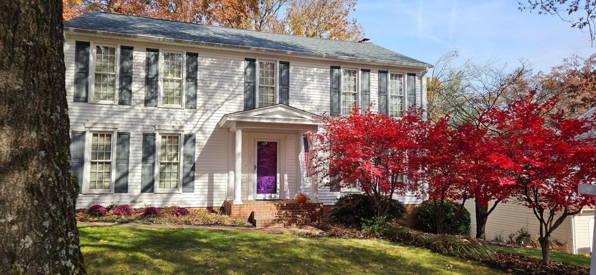 4131 Snowbird CIR - Photo 40