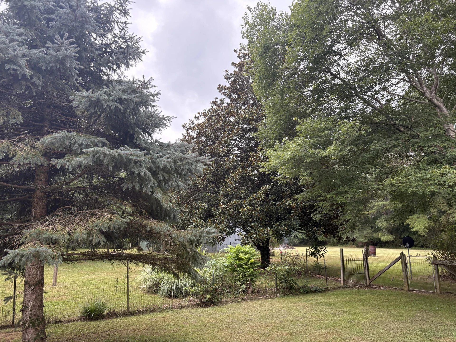 4611 Longdale Furnace RD - Photo 33