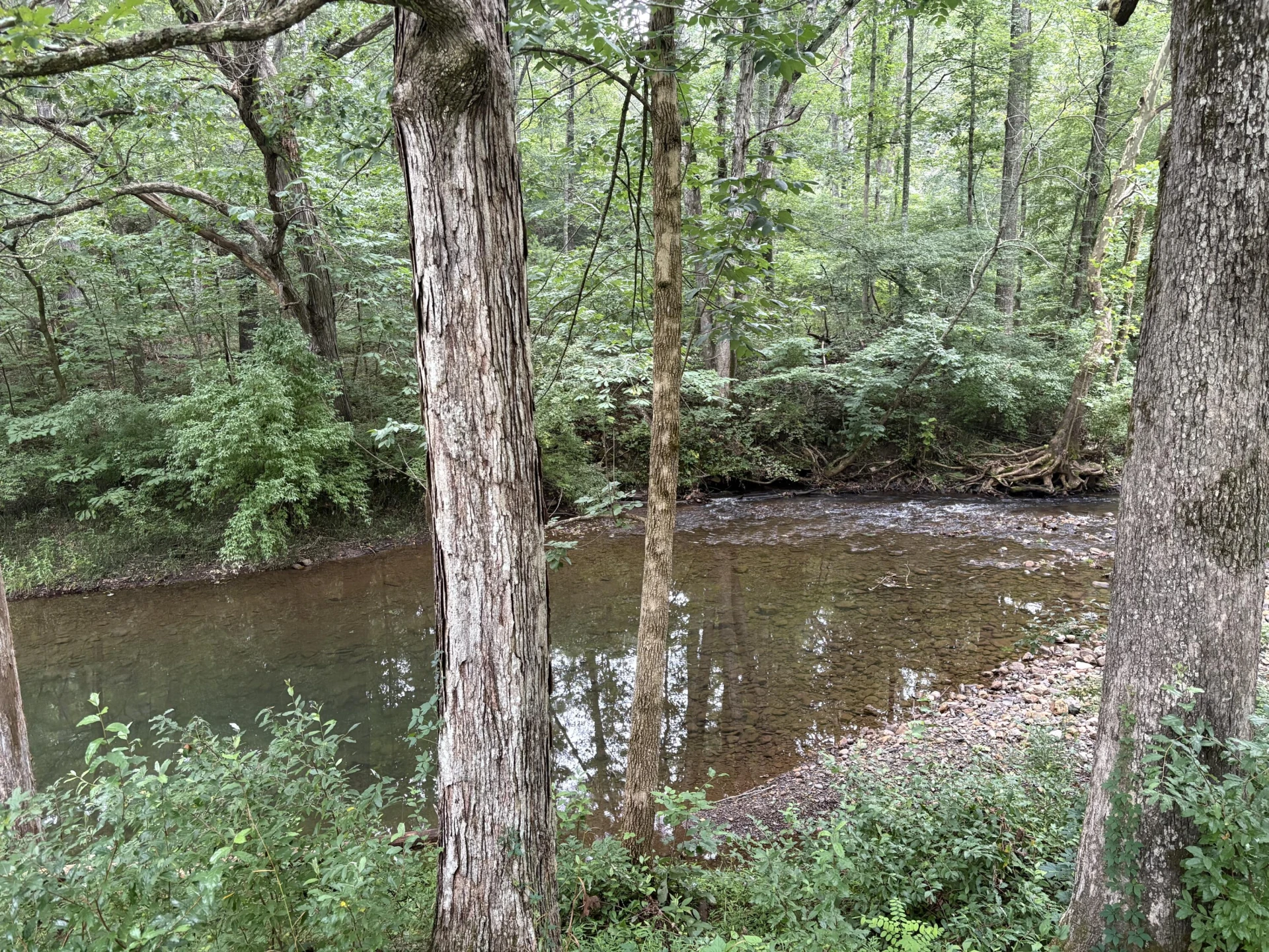 4611 Longdale Furnace RD - Photo 37