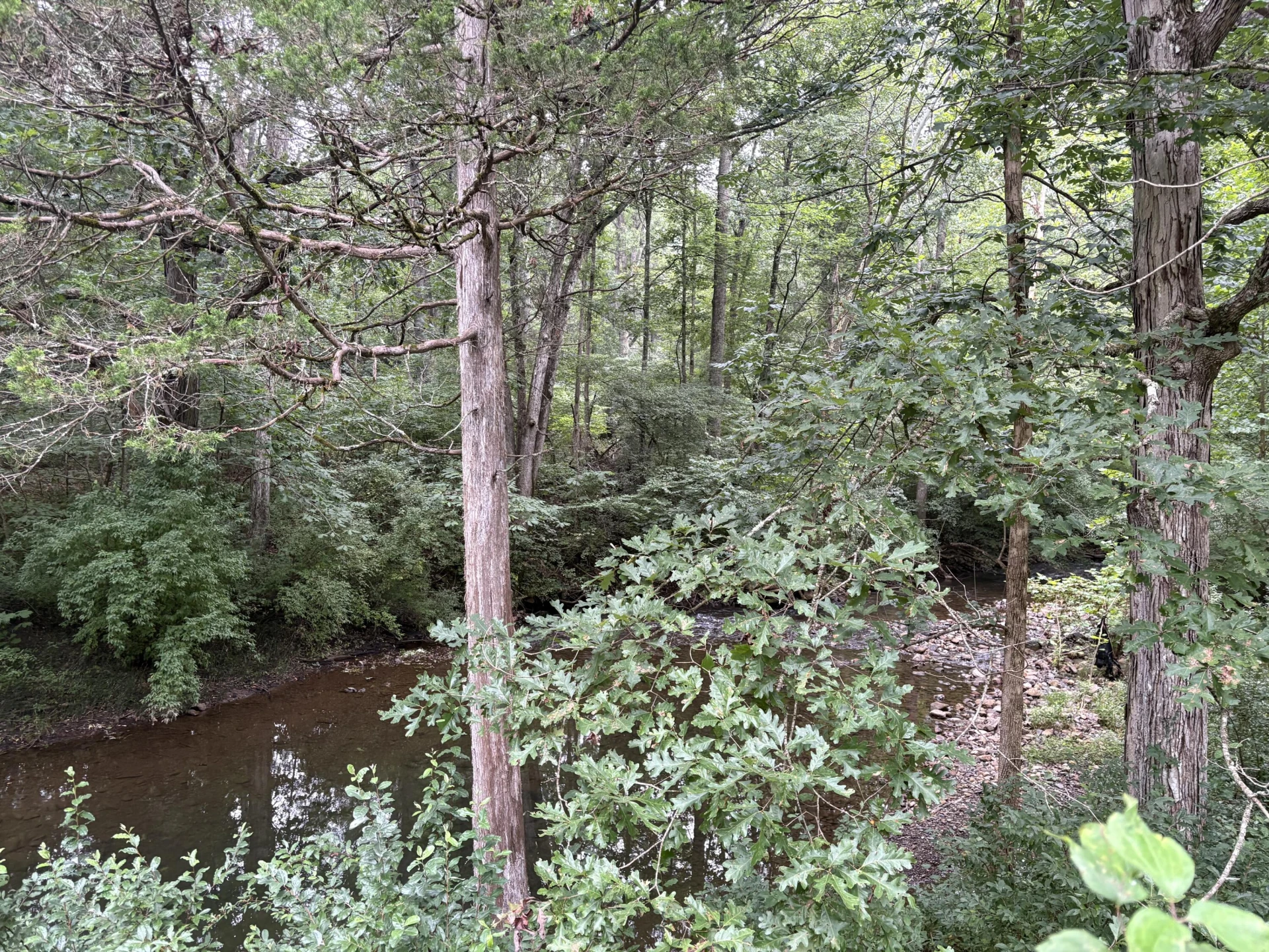 4611 Longdale Furnace RD - Photo 38