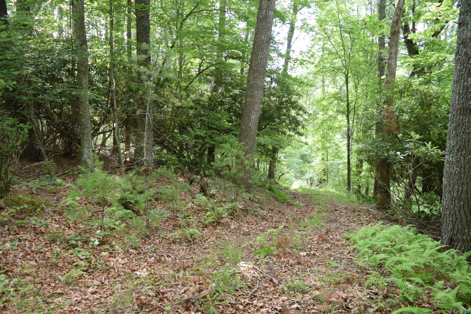1866 Firehouse RD NW - Photo 10