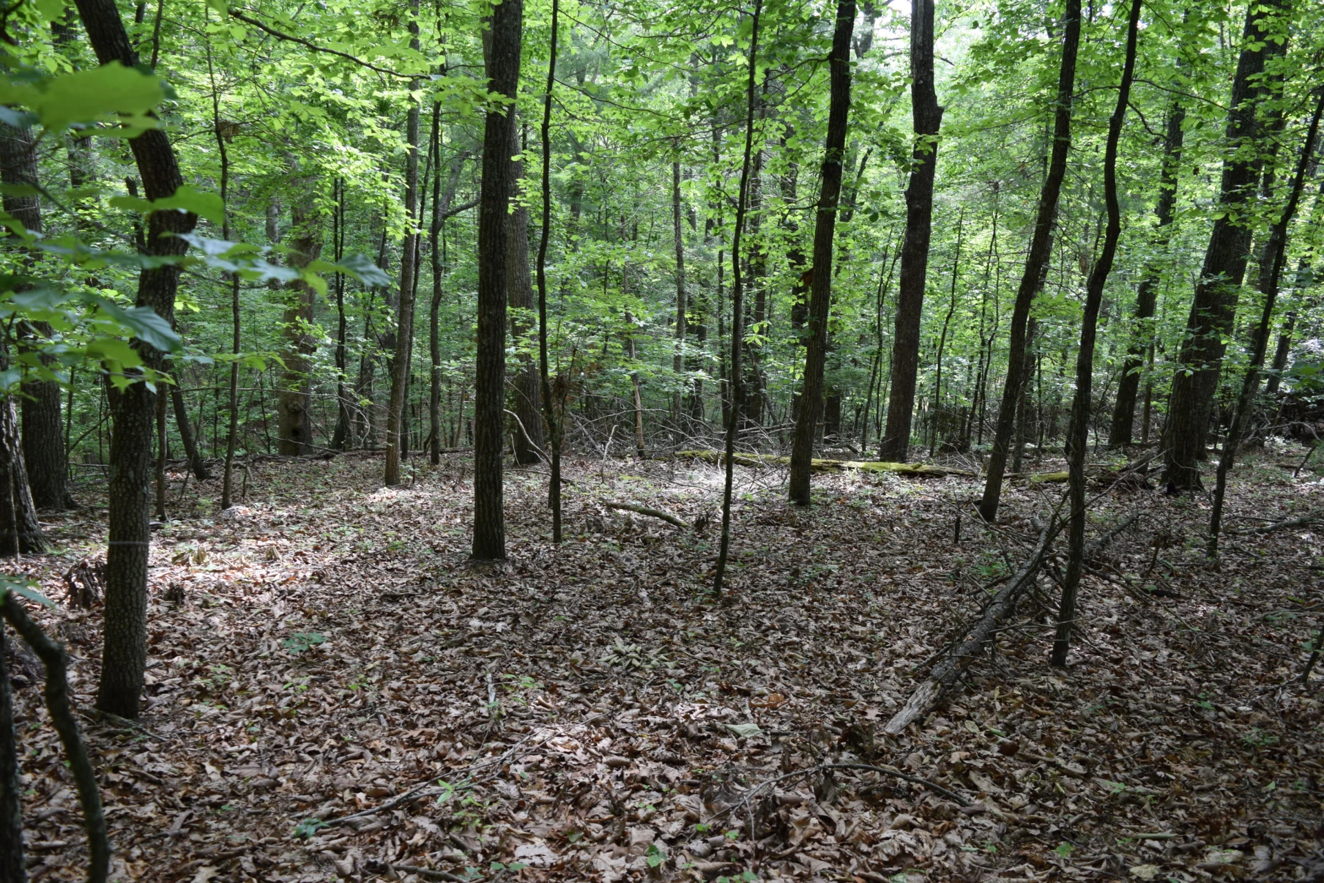 1866 Firehouse RD NW - Photo 16