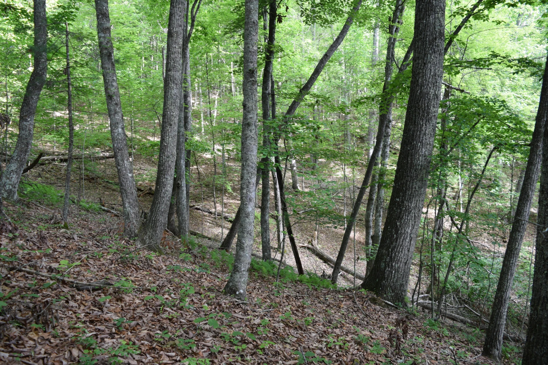 1866 Firehouse RD NW - Photo 17