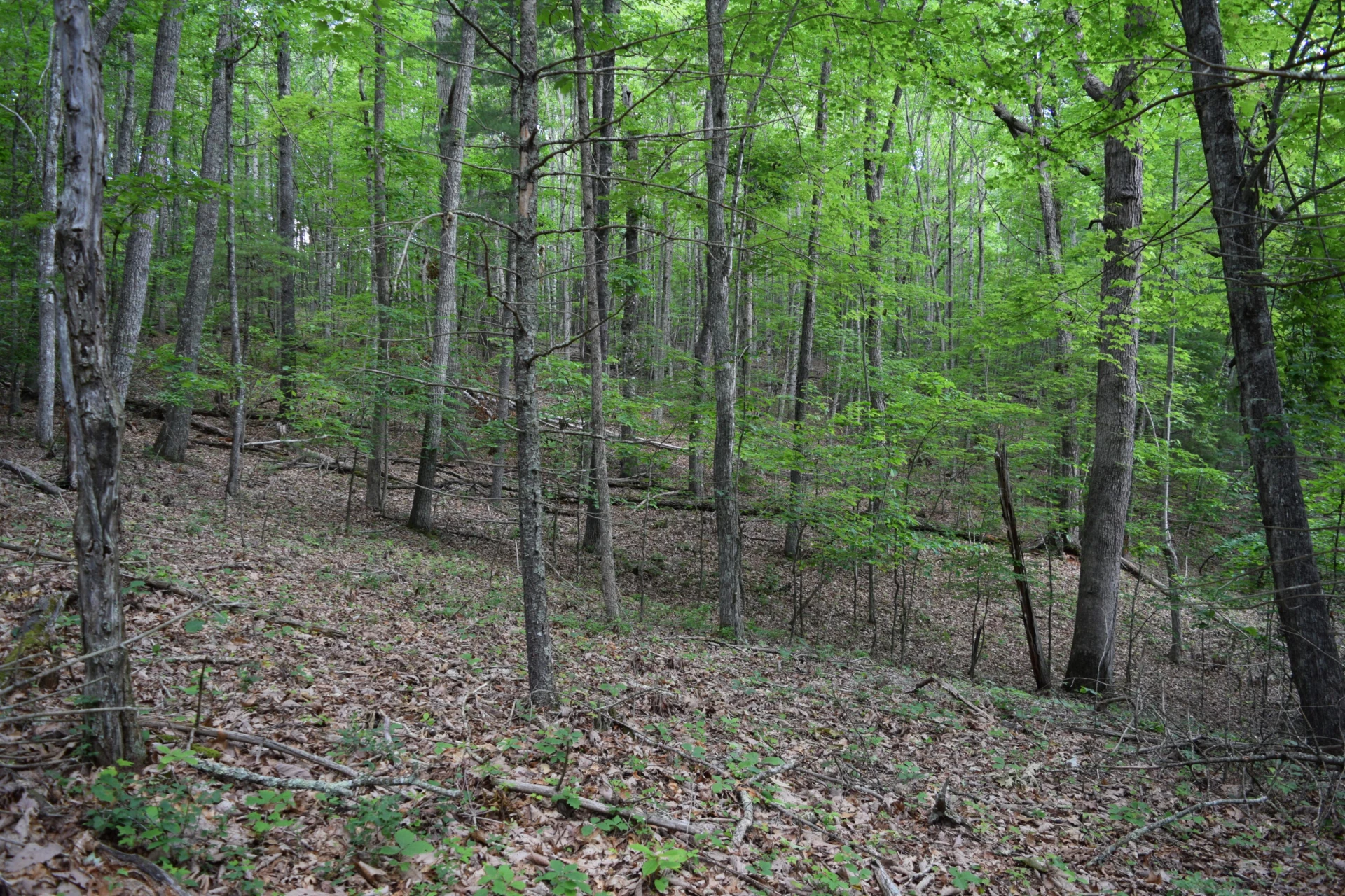 1866 Firehouse RD NW - Photo 18