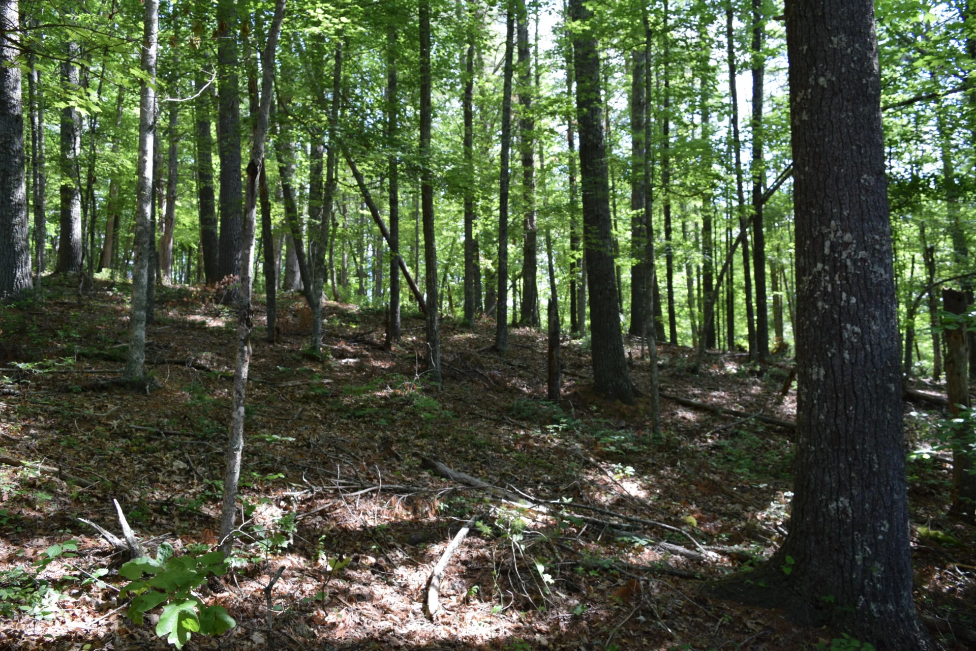 1866 Firehouse RD NW - Photo 25