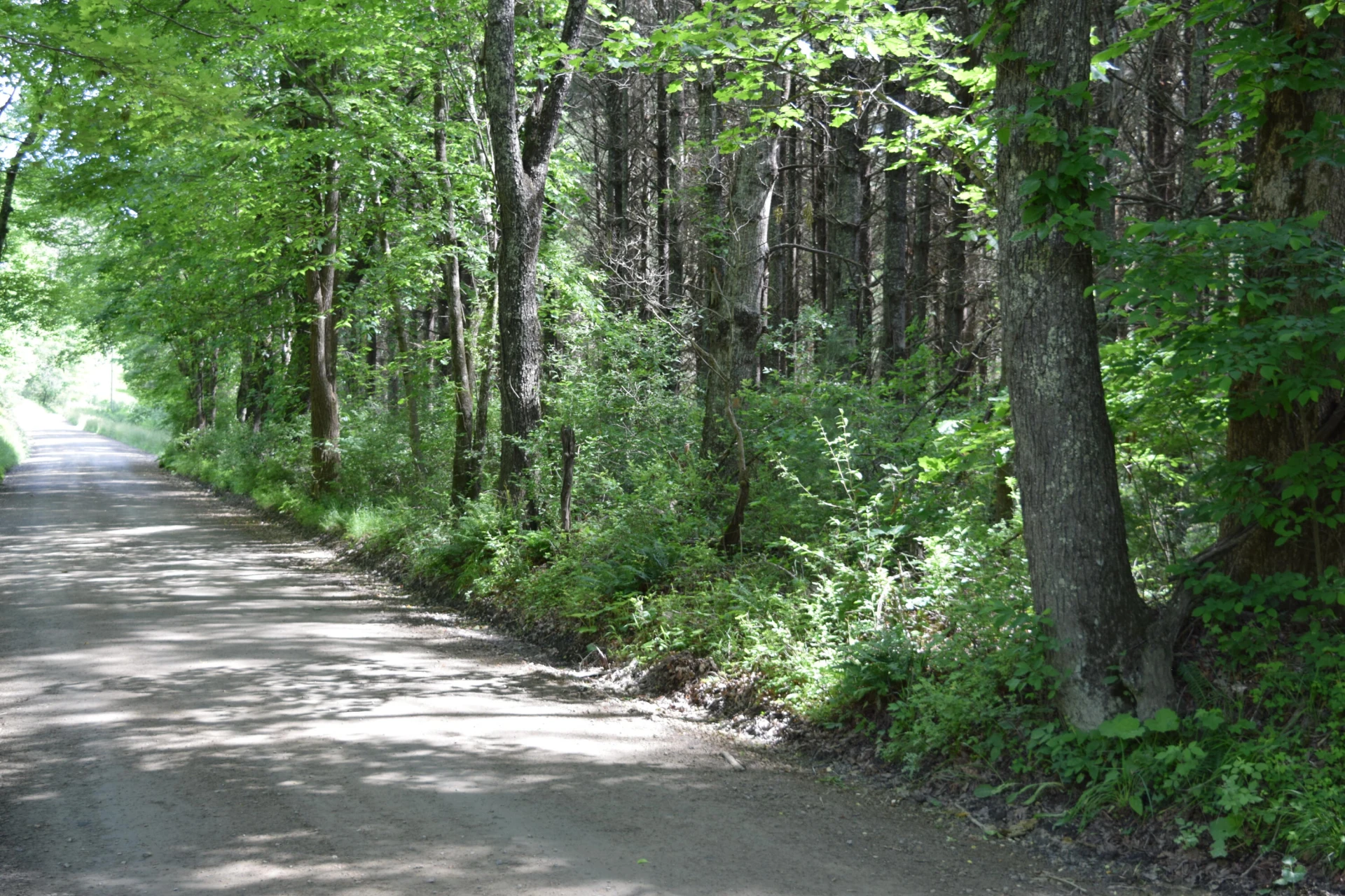 1866 Firehouse RD NW - Photo 3