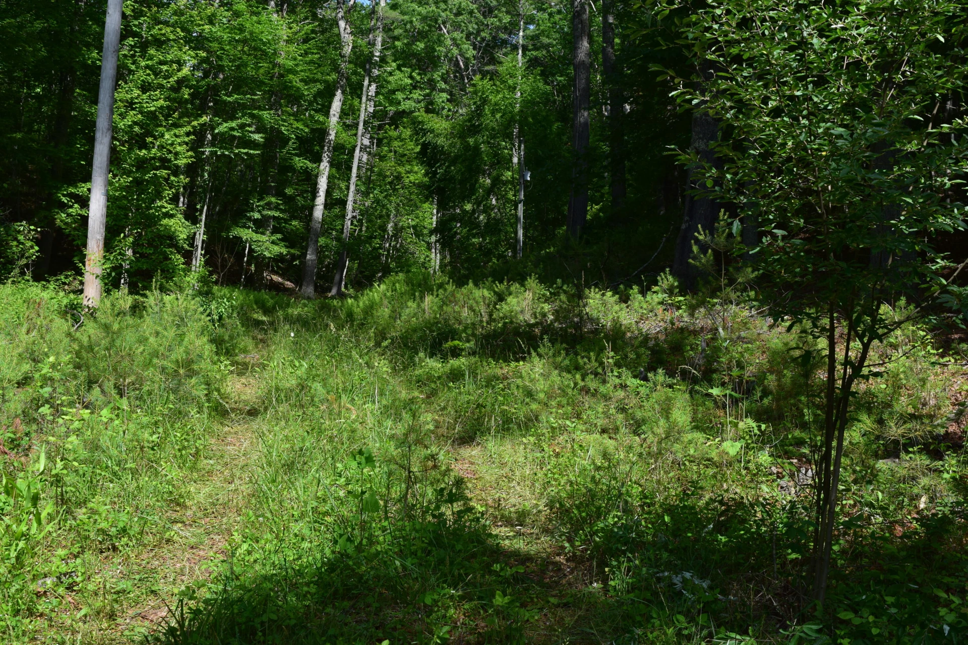 1866 Firehouse RD NW - Photo 30