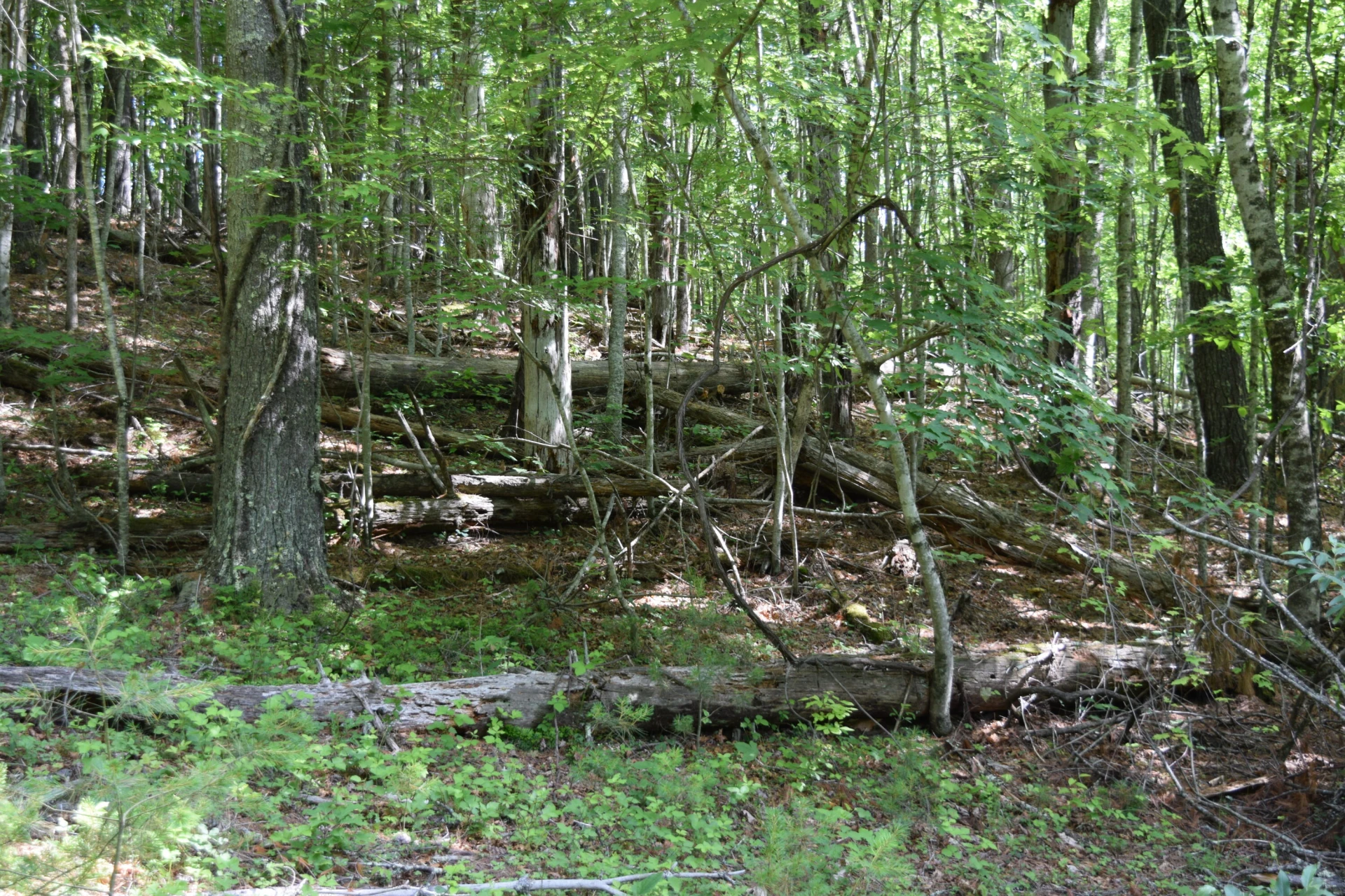 1866 Firehouse RD NW - Photo 31