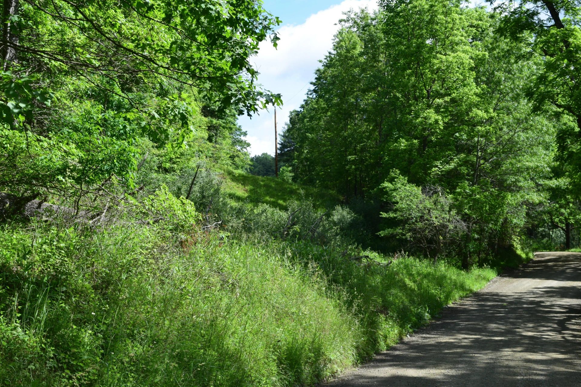 1866 Firehouse RD NW - Photo 33