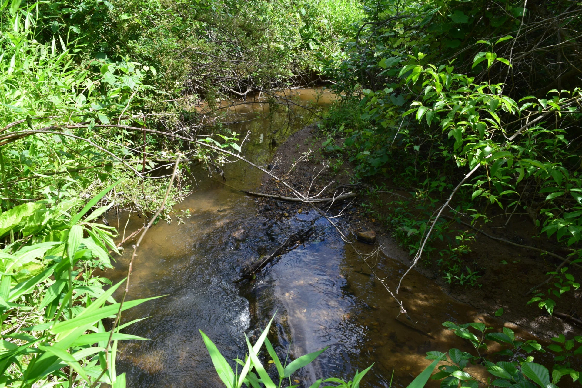1866 Firehouse RD NW - Photo 37