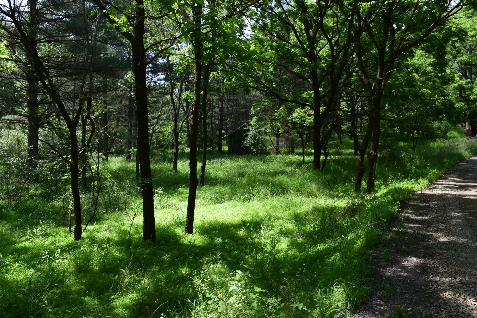 1866 Firehouse RD NW - Photo 46