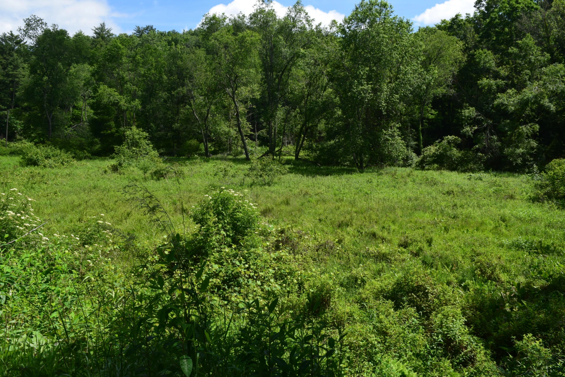 1866 Firehouse RD NW - Photo 60