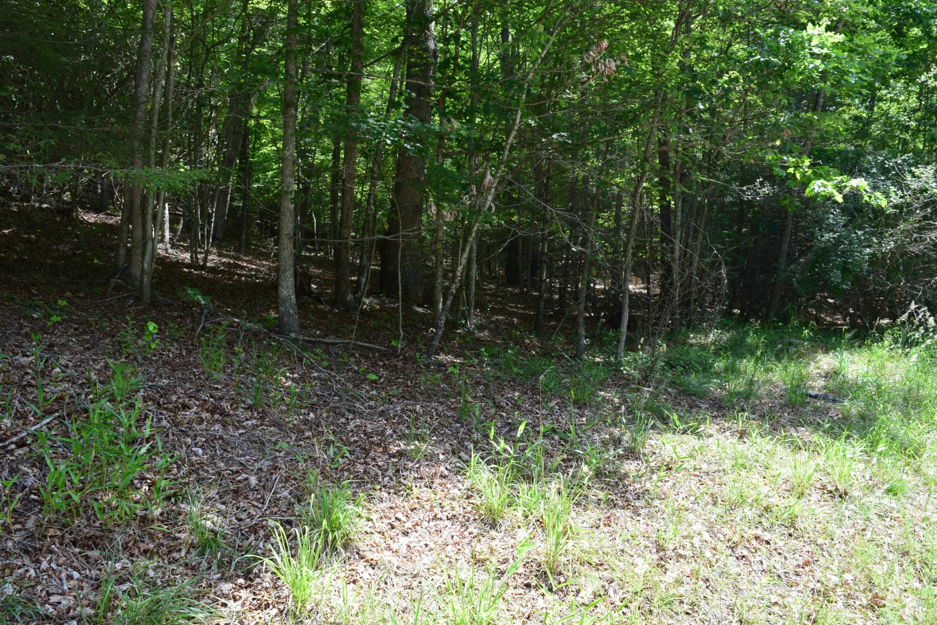 1866 Firehouse RD NW - Photo 76
