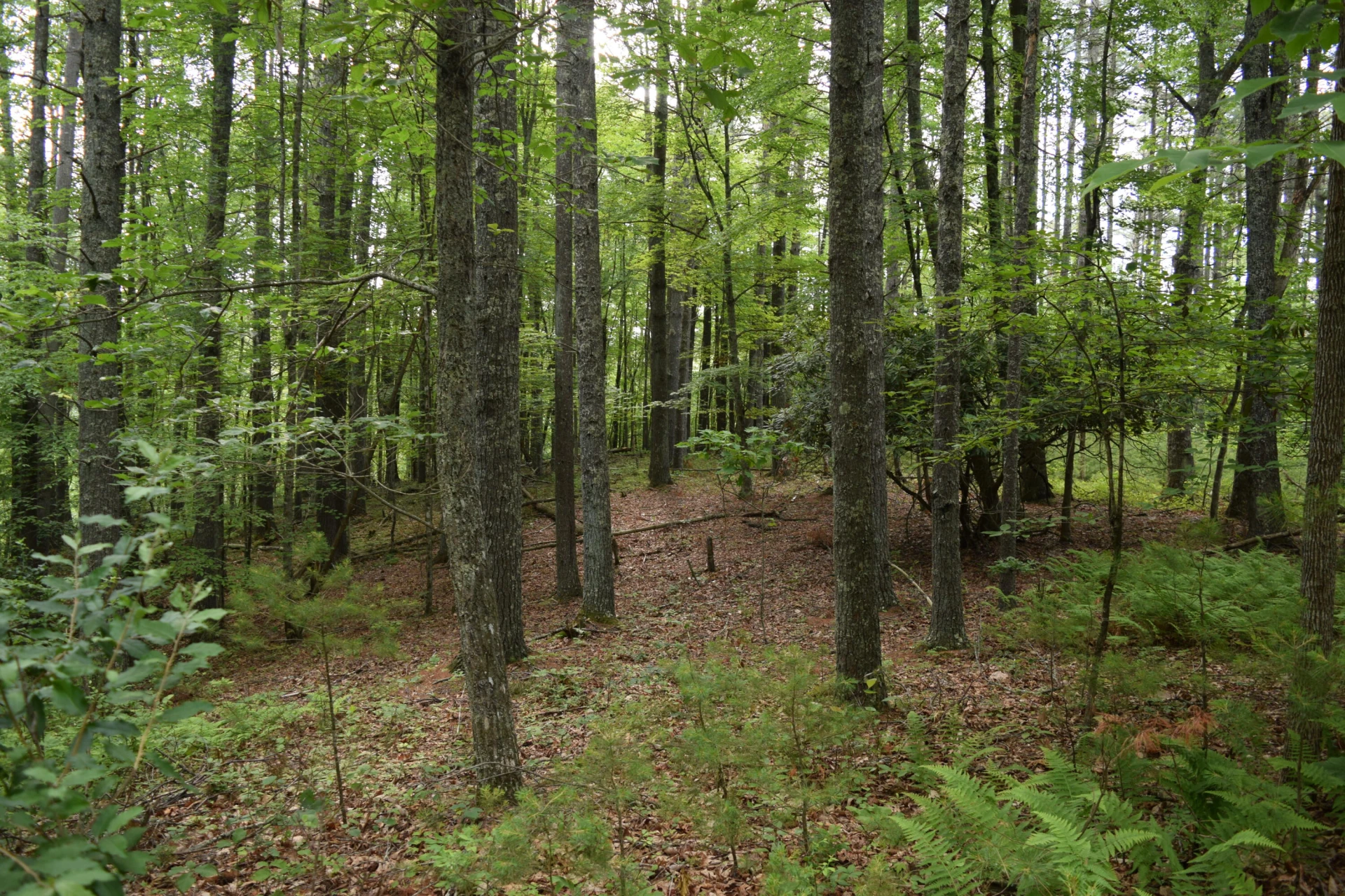 1866 Firehouse RD NW - Photo 9