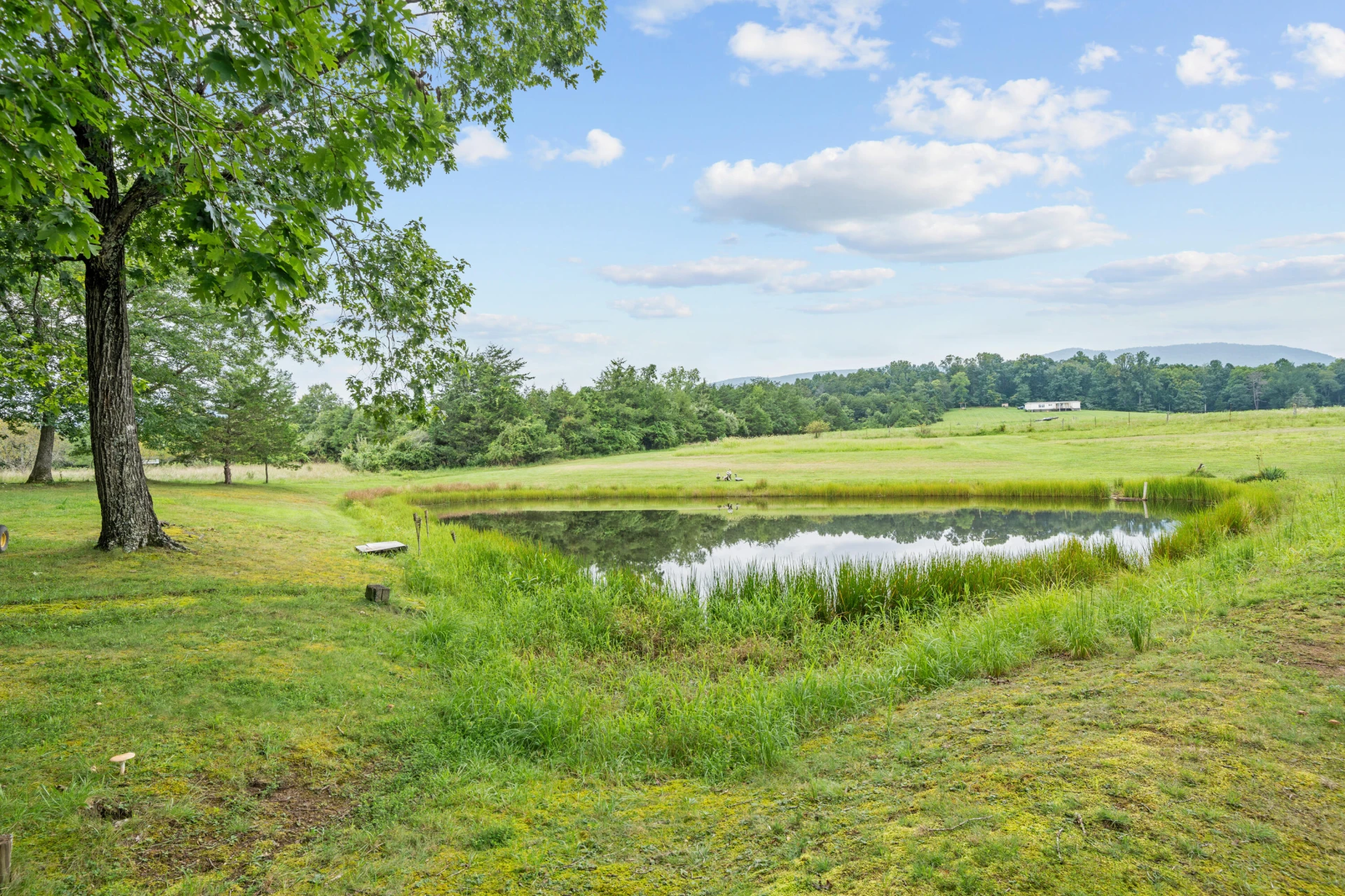 3324 Breckinridge Mill RD - Photo 9