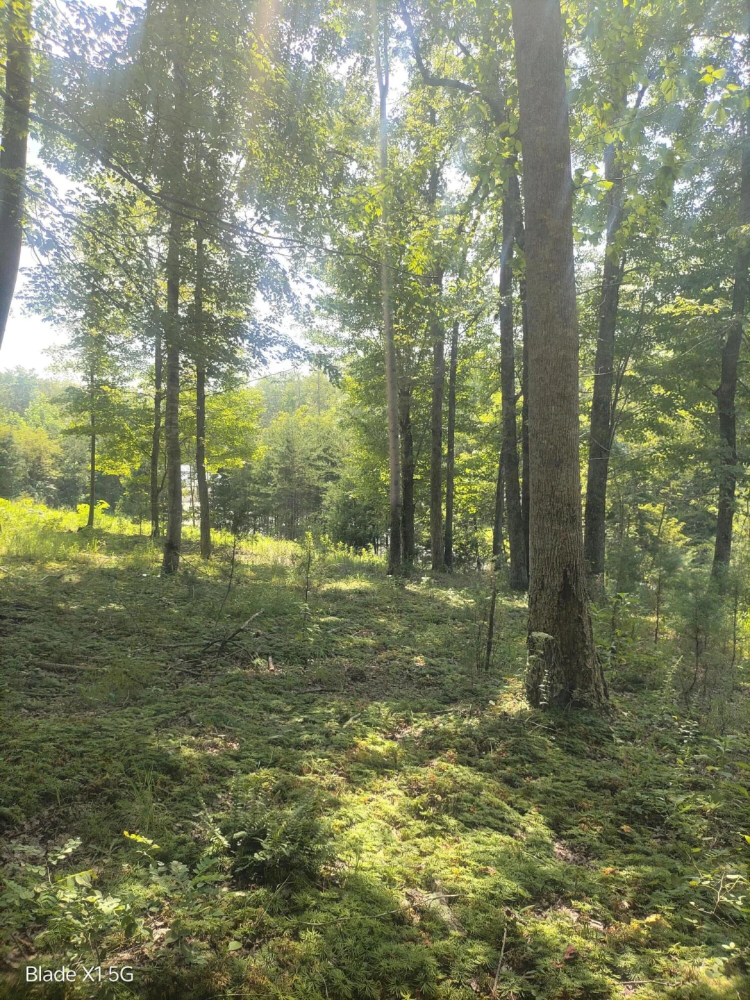 Lot 22 Jefferson Dock RD - Photo 10