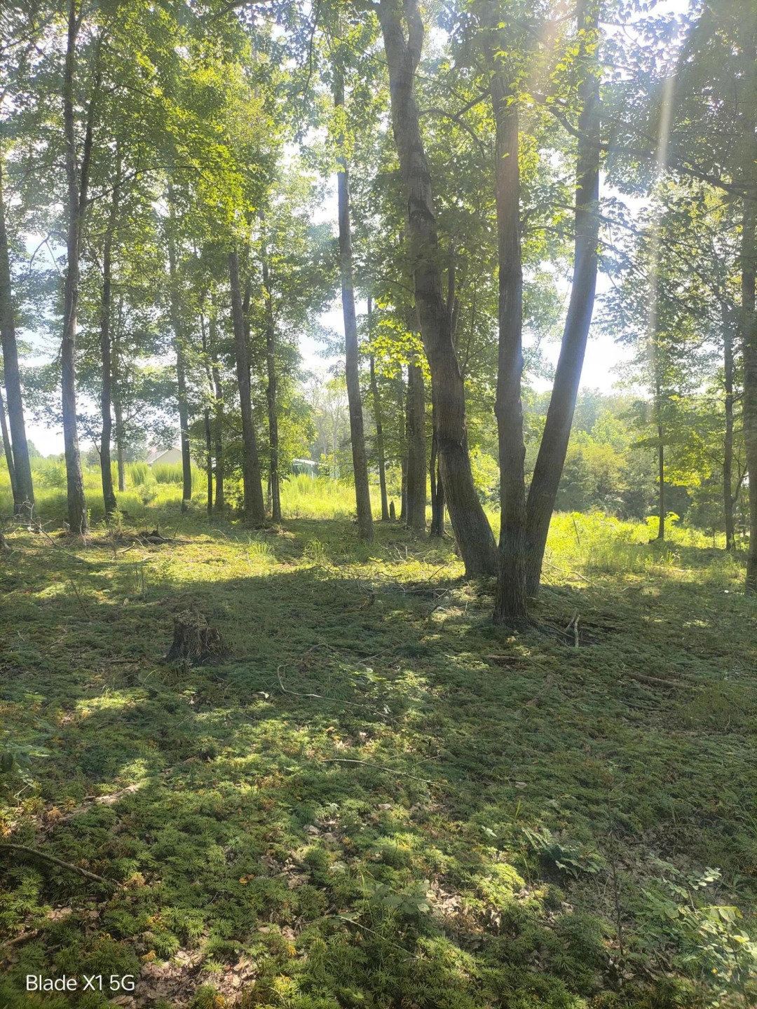 Lot 22 Jefferson Dock RD - Photo 11